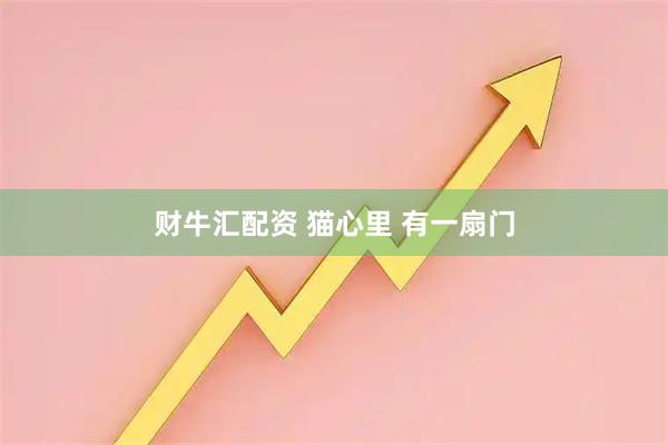财牛汇配资 猫心里 有一扇门