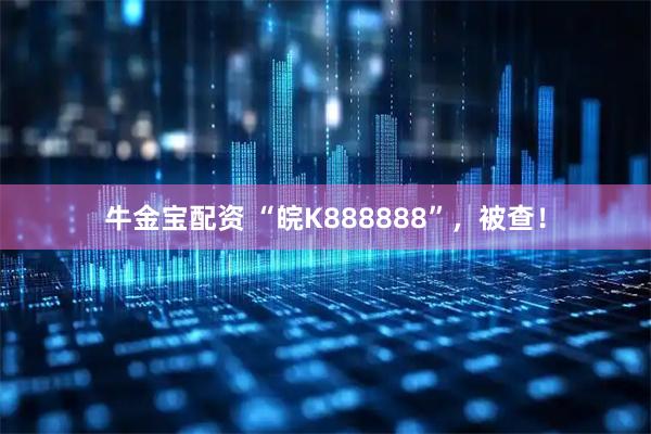 牛金宝配资 “皖K888888”，被查！